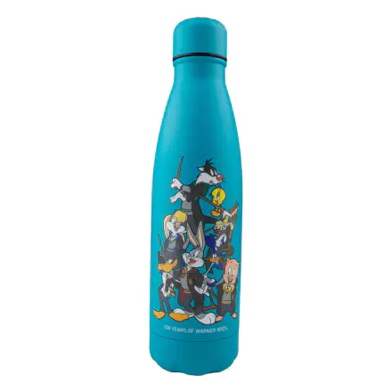 Looney Tunes Thermosflasche Looney Tunes at Hogwarts Produktfoto