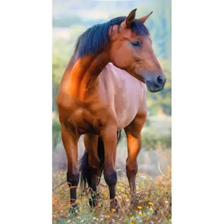 Equestrian Handtuch Gesichtstuch, Handtuch 30*50 cm Produktfoto
