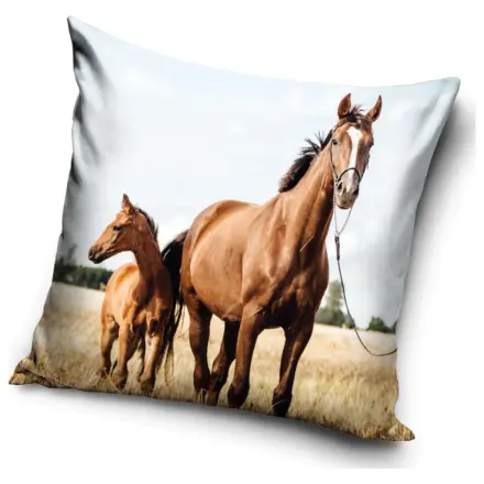 Rider Loyal Hearts Kopfkissenbezug Produktfoto