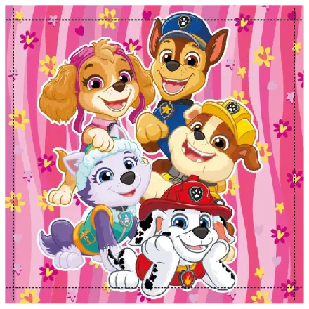 Paw Patrol Happy Team Handtuch, Gesichtstuch, Handtuch 30x30cm Produktfoto