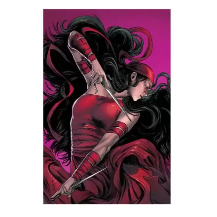 Marvel Kunstdruck Elektra: Woman Without Fear 41 x 61 cm - ungerahmt Produktfoto