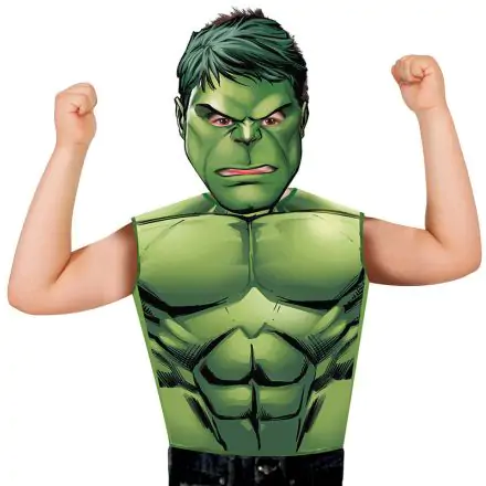 Marvel Avengers Hulk Kinder Partyzeit termékfotója