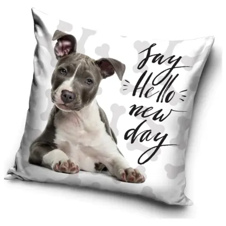 New Day Kissenbezug Produktfoto