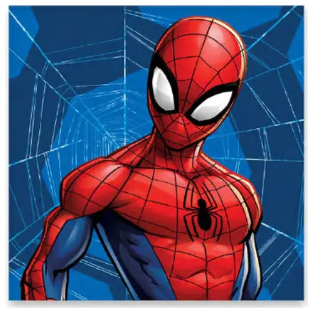 Spider-Man Web Handtuch, Gesichtstuch, Handtuch Produktfoto