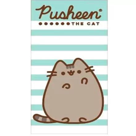 Pusheen Microfaser Strandtuch Produktfoto