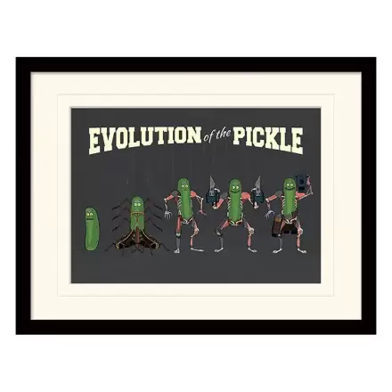 Rick and Morty Collector Print Poster im Rahmen Evolution of the Pickle (white background) Produktfoto