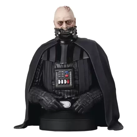 Star Wars Episode VI Büste 1/6 Darth Vader (unhelmeted) 15 cm Produktfoto