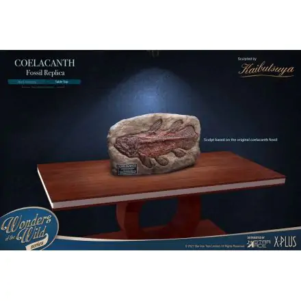 Wonders of the Wild Mini-Replik Coelacanth Fossil 32 cm Produktfoto