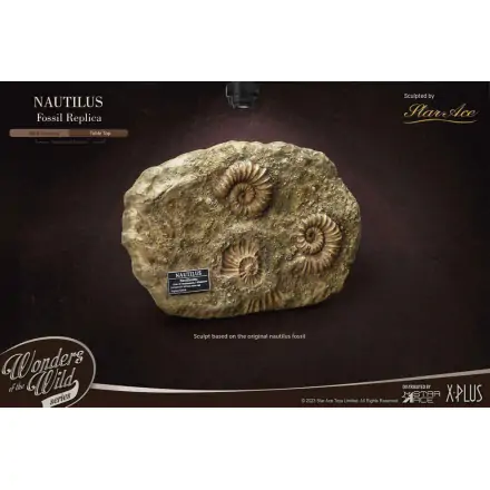 Wonders of the Wild Series Statue 1/1 Nautilus Miniature Frame & Fossil 15 cm Produktfoto