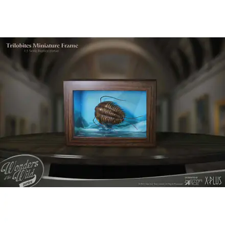 Wonders of the Wild Series Statue 1/1 Trilobites Miniature Frame 15 cm Produktfoto
