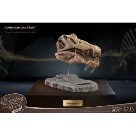 Wonders of the Wild Series Statue Spinosaurus Head Skull 30 cm Produktfoto