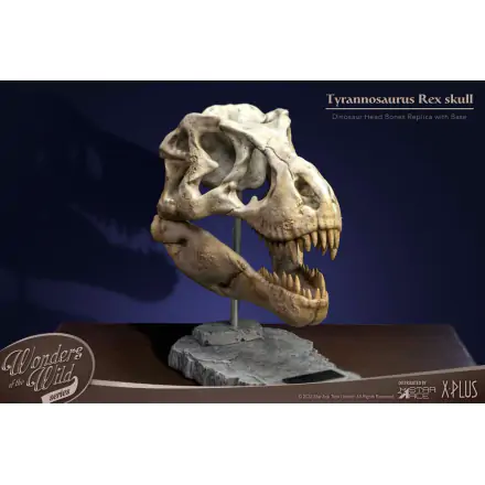 Wonders of the Wild Series Statue T-Rex Head Skull 30 cm Produktfoto